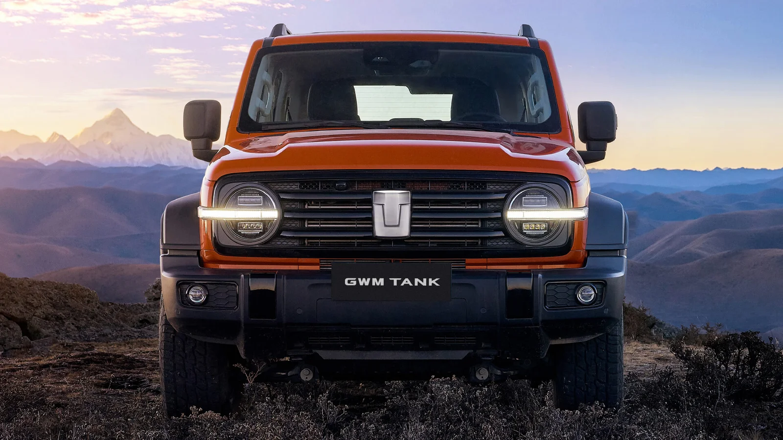 Galería Tank 300 6